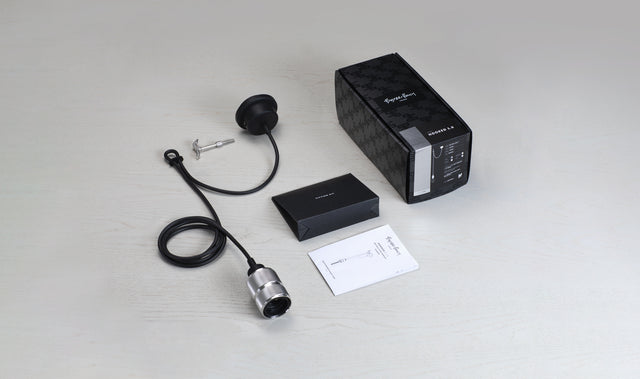 Hooked Pendulum 1.0 Nude Buster + Punch London