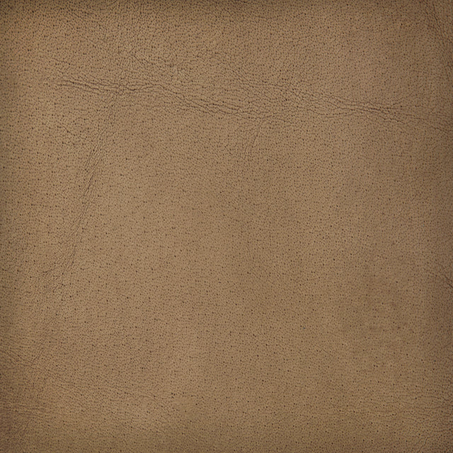 Pure Leather