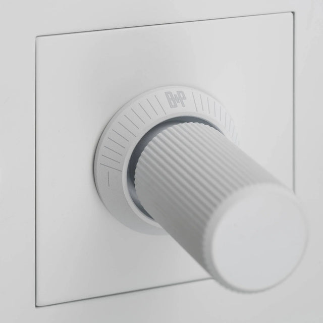 1G Dimmer Switch – Linear cu logo / 250W LED | Buster + Punc