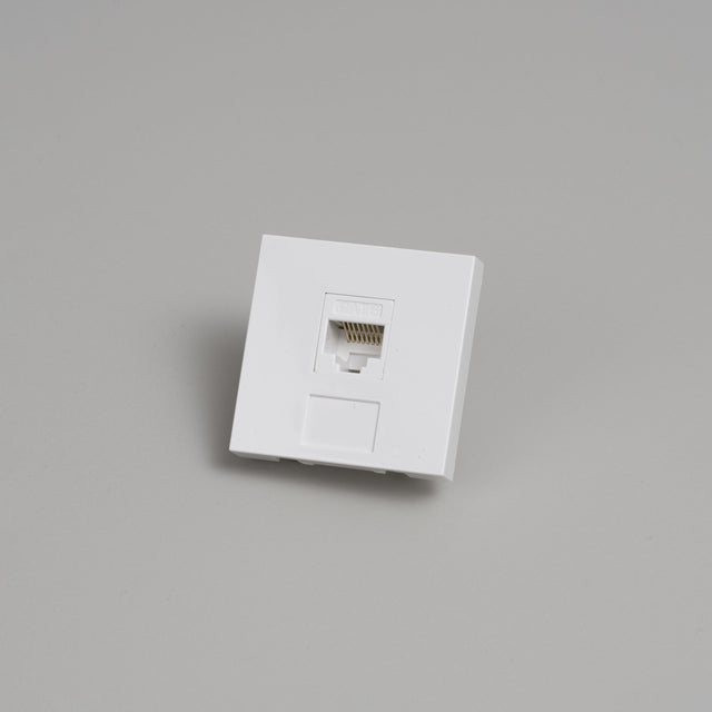 Modul Internet RJ45 Cat6 – Buster + Punch