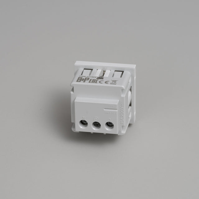 Modulo presa SCHUKO tipo F - 45 mm - Buster + Punch
